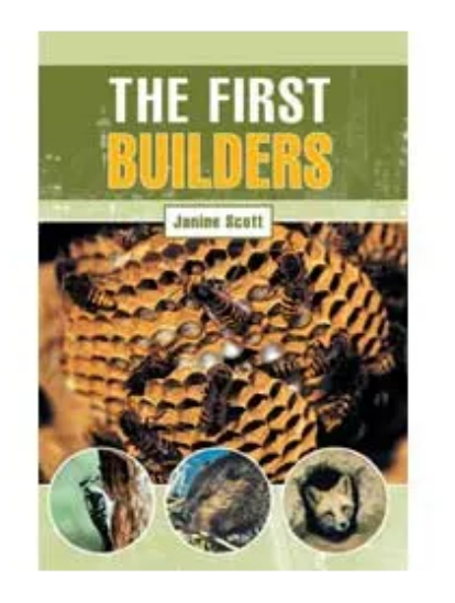 Pack of 20 Different Titles Levelled Readers BARGAIN PRICE While Stock Lasts