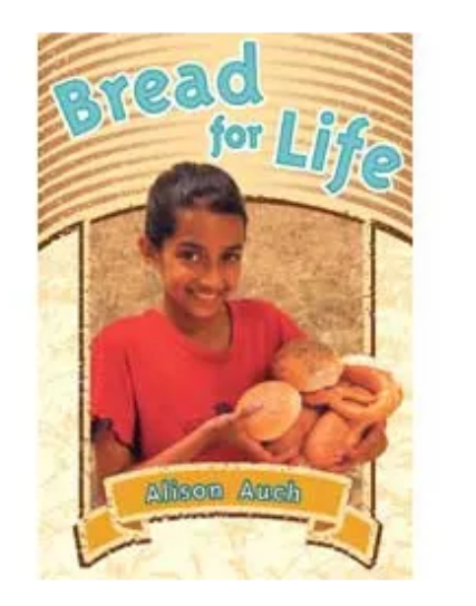 Pack of 20 Different Titles Levelled Readers BARGAIN PRICE While Stock Lasts