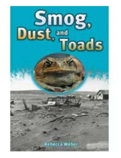 Pack of 20 Different Titles Levelled Readers BARGAIN PRICE While Stock Lasts